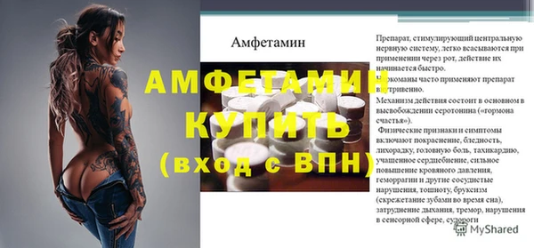 молекула духа Новодвинск
