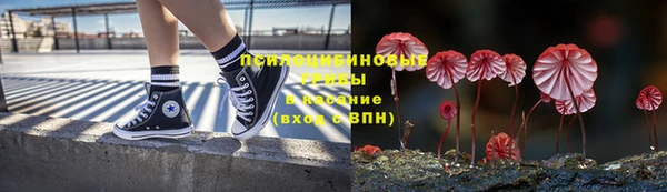 каннабис Новозыбков