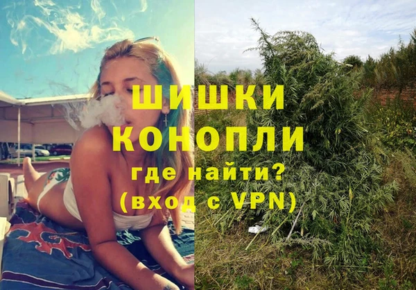 молекула духа Новодвинск