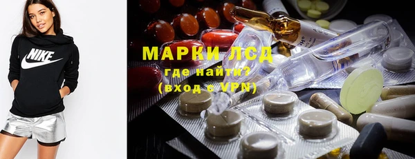молекула духа Новодвинск