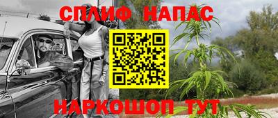 jwh Будённовск