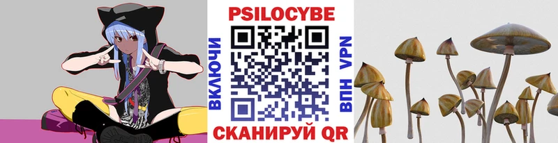 Галлюциногенные грибы Psilocybine cubensis Таганрог