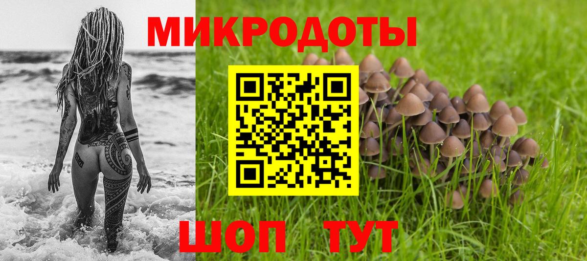 Псилоцибиновые грибы Psilocybine cubensis Таганрог