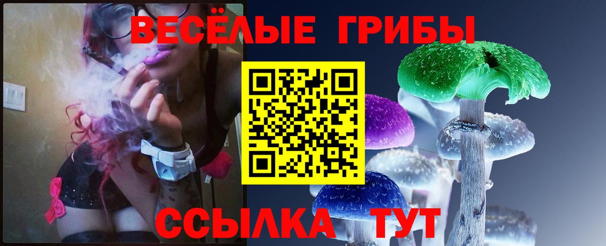 Галлюциногенные грибы мицелий  Псилоцибиновые грибы GOLDEN TEACHER  как найти закладки  Таганрог  Вход с VPN 